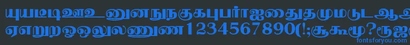 NallurPlain Font – Blue Fonts on Black Background