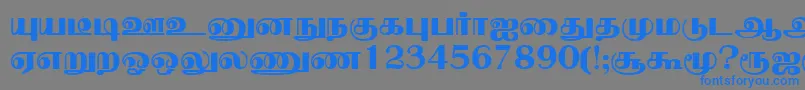 NallurPlain Font – Blue Fonts on Gray Background