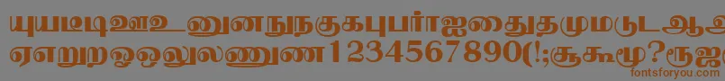 NallurPlain Font – Brown Fonts on Gray Background