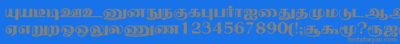 NallurPlain Font – Gray Fonts on Blue Background