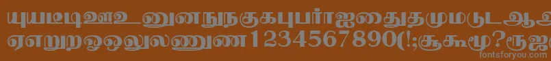 NallurPlain Font – Gray Fonts on Brown Background