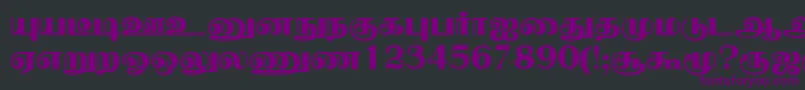NallurPlain Font – Purple Fonts on Black Background