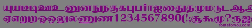 NallurPlain Font – Purple Fonts on Gray Background