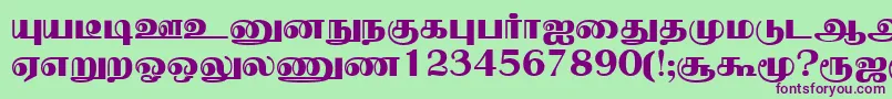 NallurPlain Font – Purple Fonts on Green Background