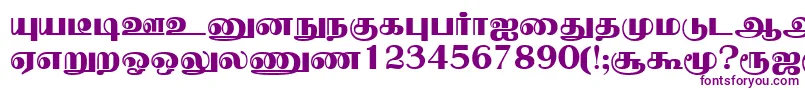 NallurPlain Font – Purple Fonts on White Background
