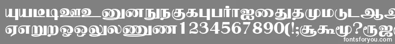 NallurPlain Font – White Fonts on Gray Background