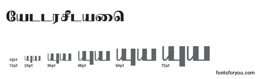 Размеры шрифта NallurPlain