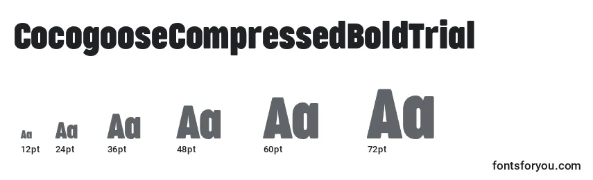 CocogooseCompressedBoldTrial Font Sizes