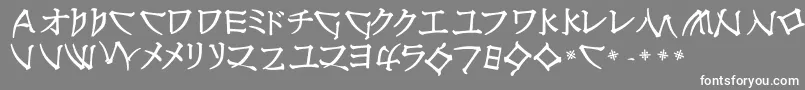 NipponlatinBold-Schriftart – Weiße Schriften auf grauem Hintergrund