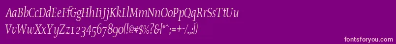 OldstylecondensedItalic-Schriftart – Rosa Schriften auf violettem Hintergrund