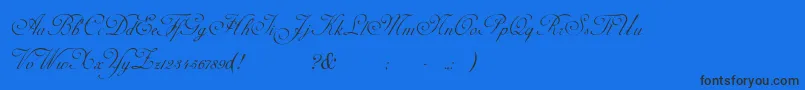 AdinekirnbergS Font – Black Fonts on Blue Background