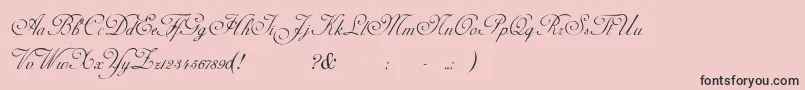 AdinekirnbergS-Schriftart – Schwarze Schriften auf rosa Hintergrund