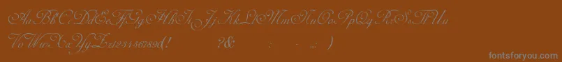 AdinekirnbergS-fontti – harmaat kirjasimet ruskealla taustalla