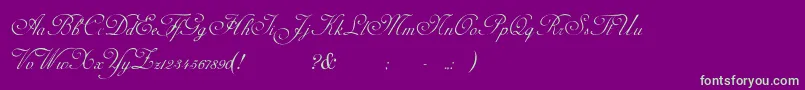 AdinekirnbergS Font – Green Fonts on Purple Background