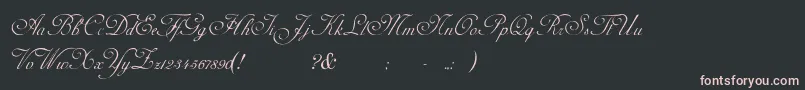 AdinekirnbergS Font – Pink Fonts on Black Background