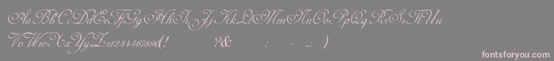 AdinekirnbergS Font – Pink Fonts on Gray Background