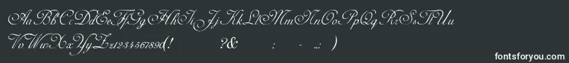 AdinekirnbergS Font – White Fonts on Black Background