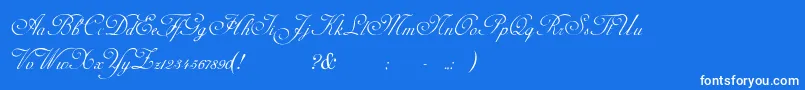 AdinekirnbergS Font – White Fonts on Blue Background