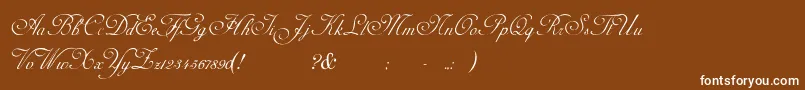 AdinekirnbergS-fontti – valkoiset fontit ruskealla taustalla