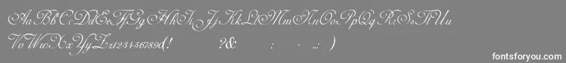 AdinekirnbergS Font – White Fonts on Gray Background