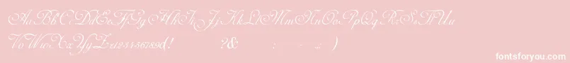 AdinekirnbergS Font – White Fonts on Pink Background