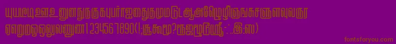 KallarPlain Font – Brown Fonts on Purple Background