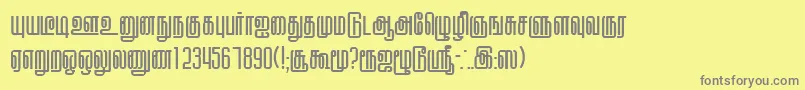 KallarPlain Font – Gray Fonts on Yellow Background