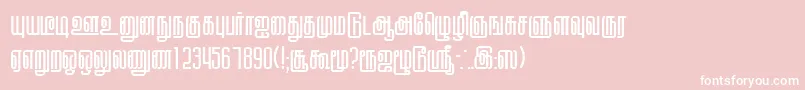 KallarPlain Font – White Fonts on Pink Background