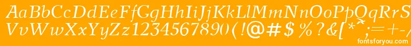 フォントNewJournalItalic – オレンジの背景に白い文字
