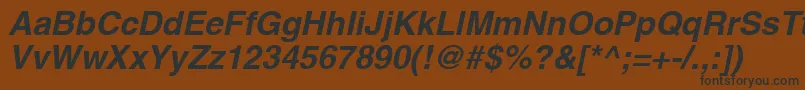 AghlvcyrillicBoldItalic Font – Black Fonts on Brown Background