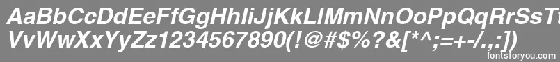 AghlvcyrillicBoldItalic-Schriftart – Weiße Schriften auf grauem Hintergrund