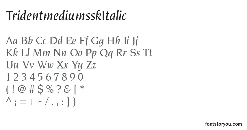 caractères de police tridentmediumsskitalic, lettres de police tridentmediumsskitalic, alphabet de police tridentmediumsskitalic