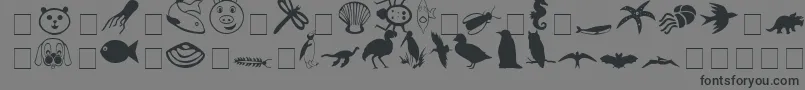 CarrAnimalDingbats Font – Black Fonts on Gray Background