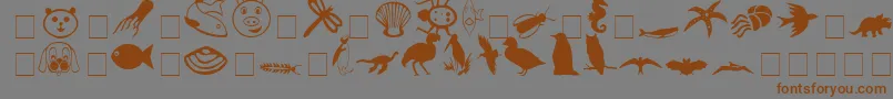 CarrAnimalDingbats-Schriftart – Braune Schriften auf grauem Hintergrund