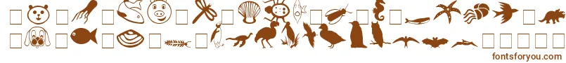 CarrAnimalDingbats Font – Brown Fonts on White Background
