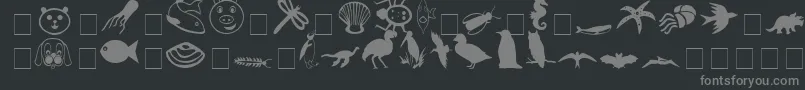 CarrAnimalDingbats Font – Gray Fonts on Black Background
