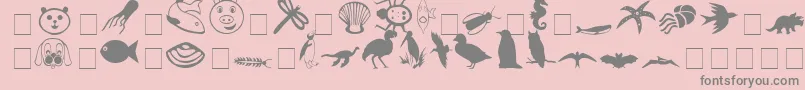 Weitere Informationen zur CarrAnimalDingbats-Schriftart CarrAnimalDingbats-Schriftart – Graue Schriften auf rosa Hintergrund