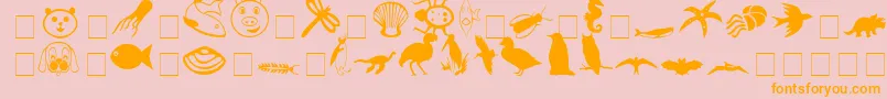 CarrAnimalDingbats Font – Orange Fonts on Pink Background