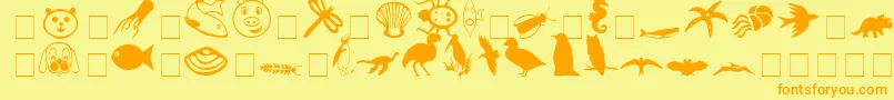 CarrAnimalDingbats Font – Orange Fonts on Yellow Background