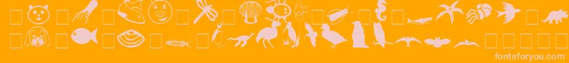 Fonte CarrAnimalDingbats – fontes rosa em um fundo laranja
