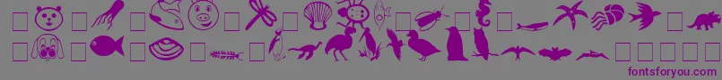CarrAnimalDingbats-Schriftart – Violette Schriften auf grauem Hintergrund