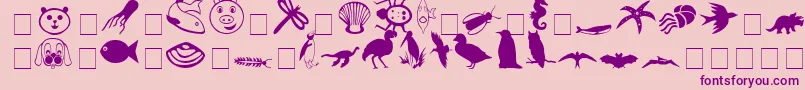 CarrAnimalDingbats Font – Purple Fonts on Pink Background