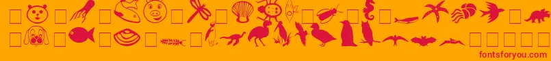 CarrAnimalDingbats Font – Red Fonts on Orange Background