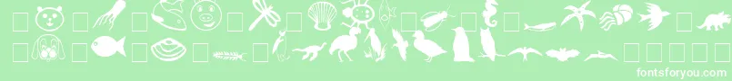 Czcionka CarrAnimalDingbats – białe czcionki na zielonym tle