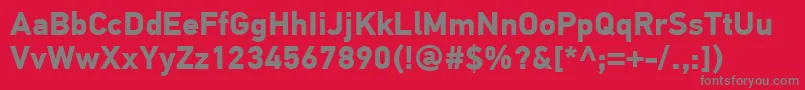 PfdintextproBold Font – Gray Fonts on Red Background