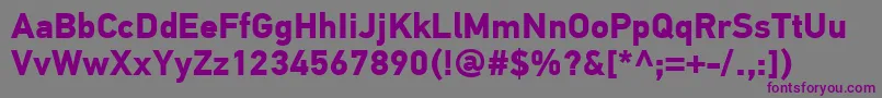 PfdintextproBold-fontti – violetit fontit harmaalla taustalla