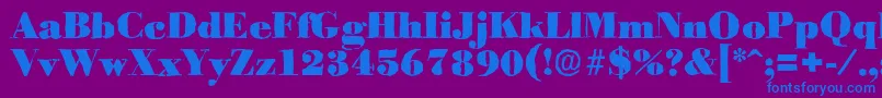 BodoniantiqueBlackRegular Font – Blue Fonts on Purple Background