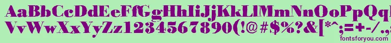 BodoniantiqueBlackRegular Font – Purple Fonts on Green Background