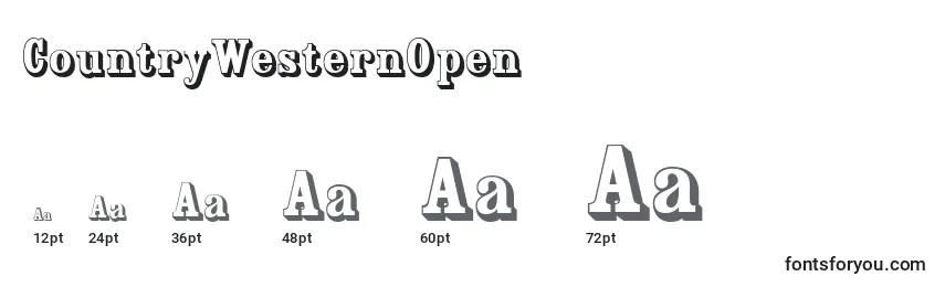 CountryWesternOpen Font Sizes