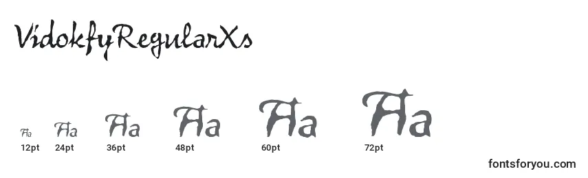 VidokfyRegularXs Font Sizes